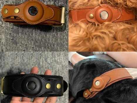 • طوق للحيوانات ب GPS
