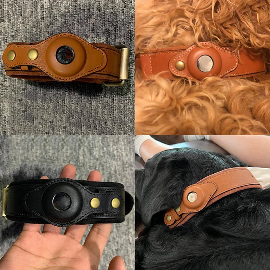 • طوق للحيوانات ب GPS