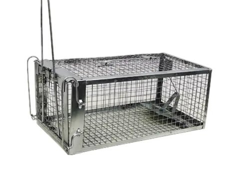 • مصيدة الفئران سهلة الاستخدام