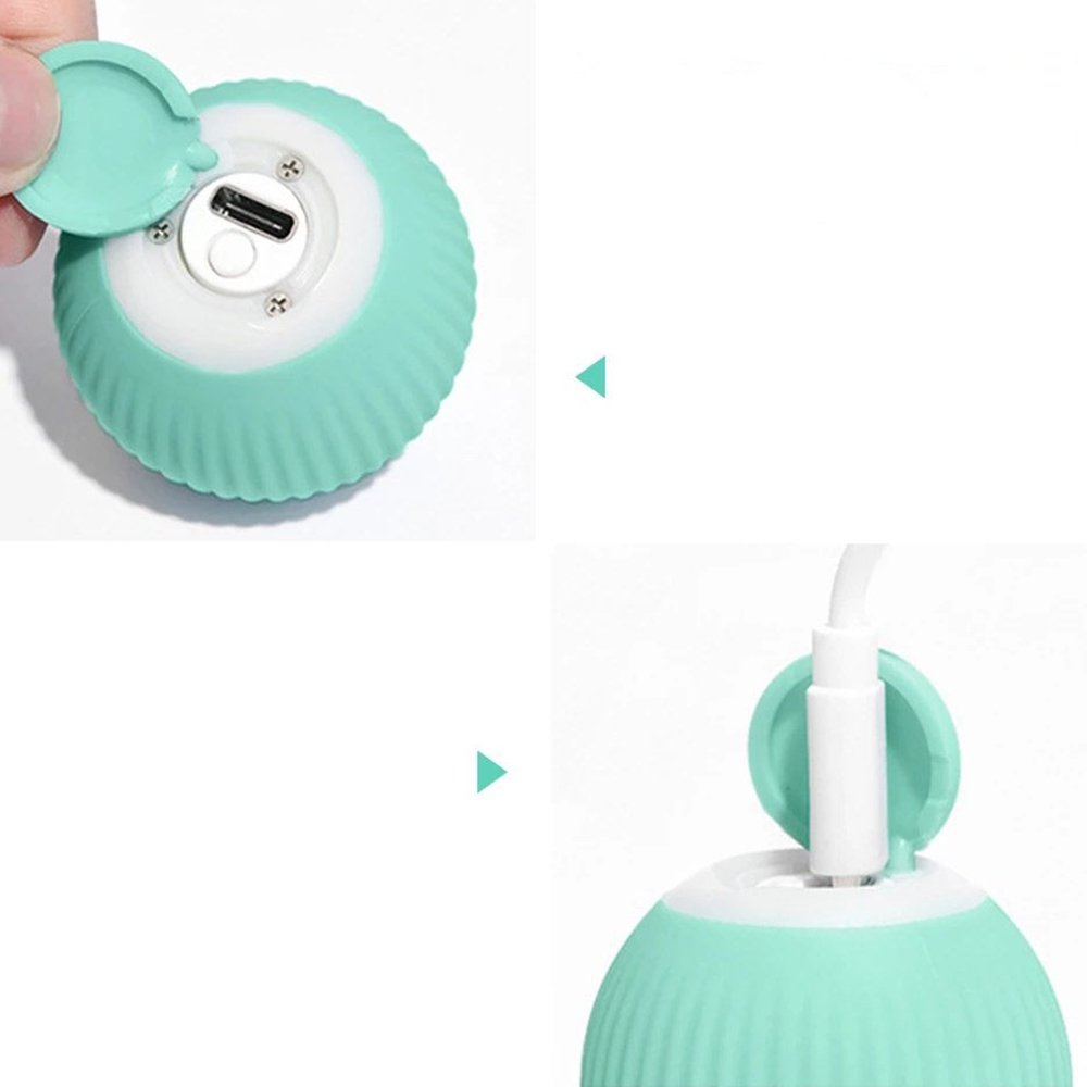 • كورة تدور اوتوماتيك للحيوانات - الصورة 5