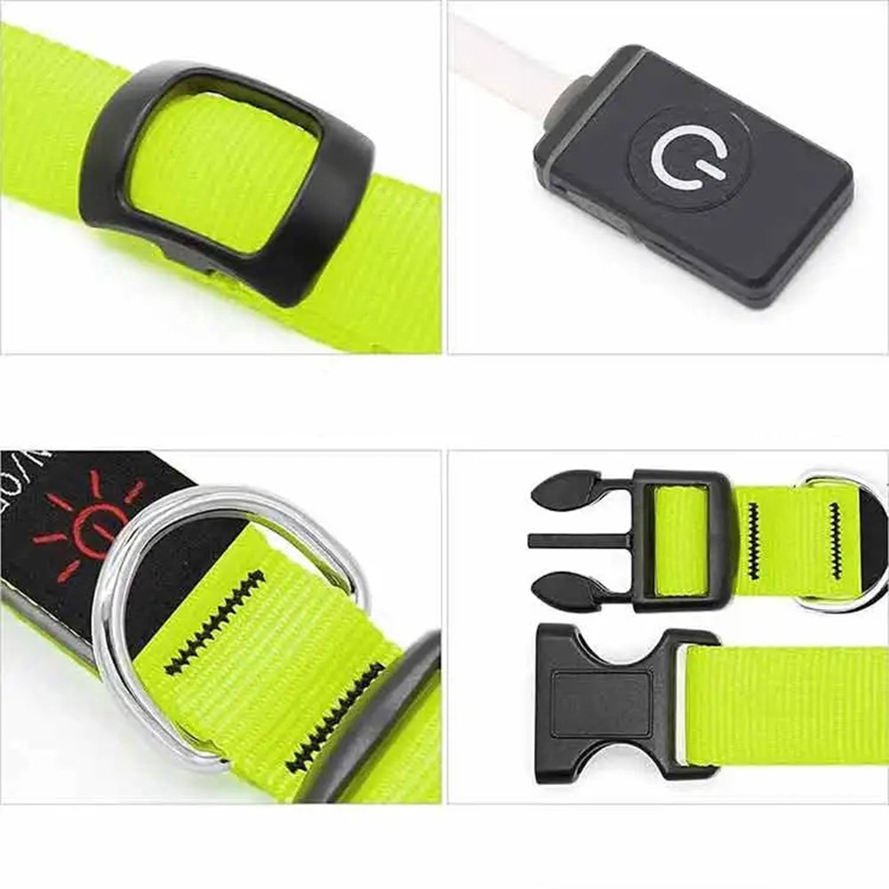 • طوق مضيئ للحيوانات - الصورة 2