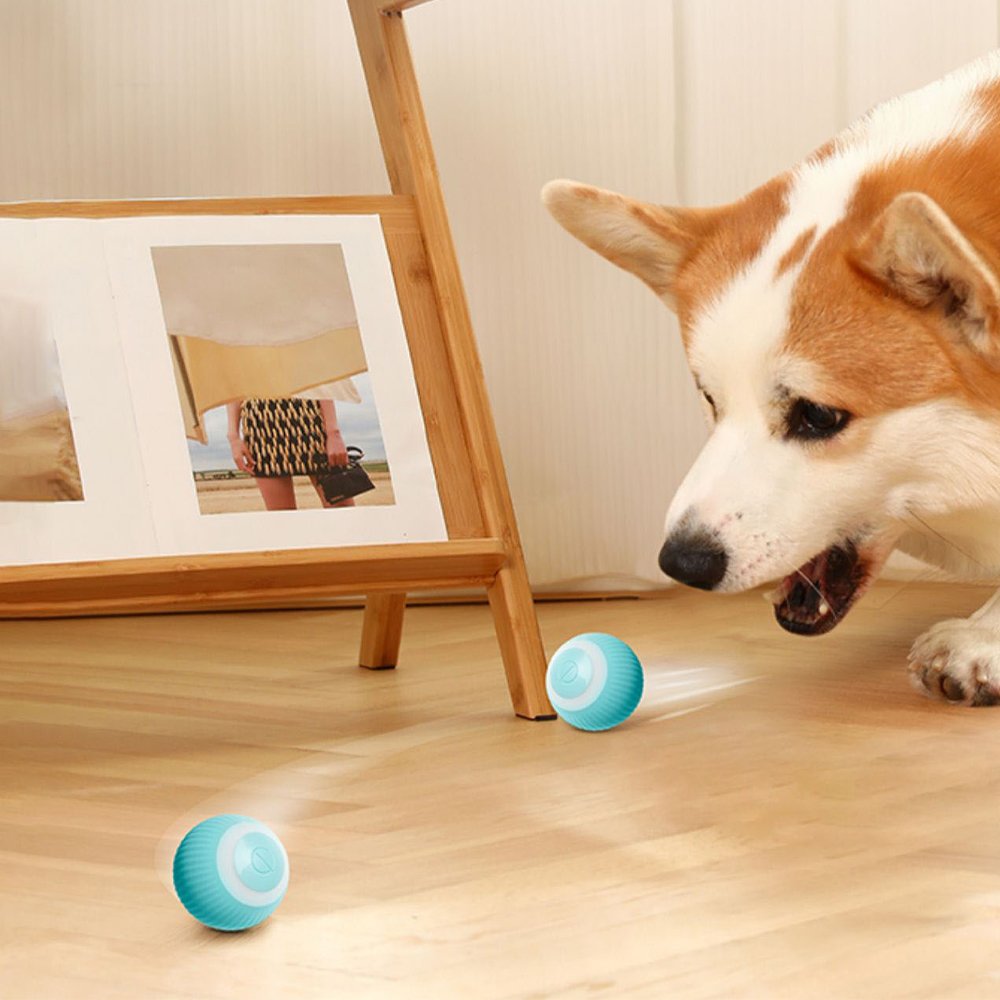 • كورة تدور اوتوماتيك للحيوانات - الصورة 2