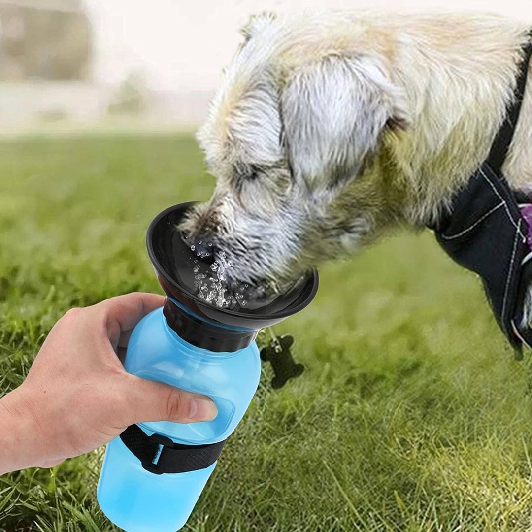 • زجاجة الحيوانات الأليفة - الصورة 2