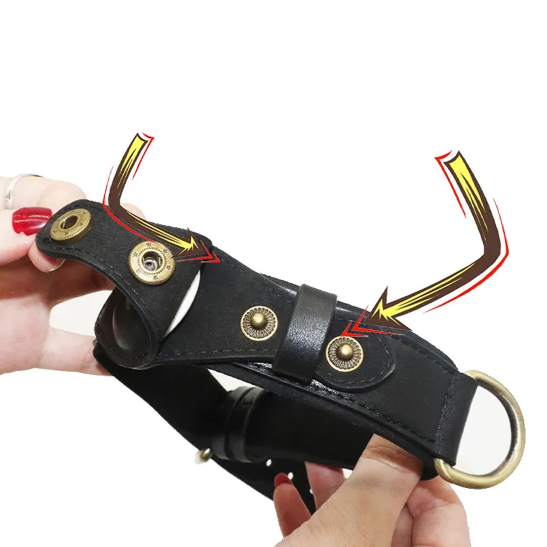 • طوق للحيوانات ب GPS - الصورة 4